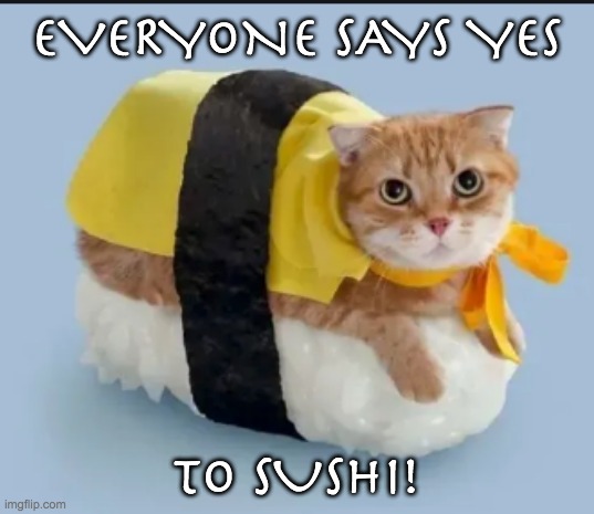 Sushi Cat | EVERYONE SAYS YES; TO SUSHI! | image tagged in cats,cute,sushi | made w/ Imgflip meme maker