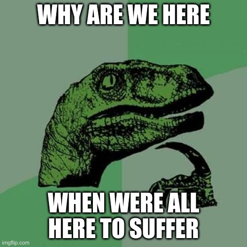 Philosoraptor | WHY ARE WE HERE; WHEN WERE ALL HERE TO SUFFER | image tagged in memes,philosoraptor | made w/ Imgflip meme maker