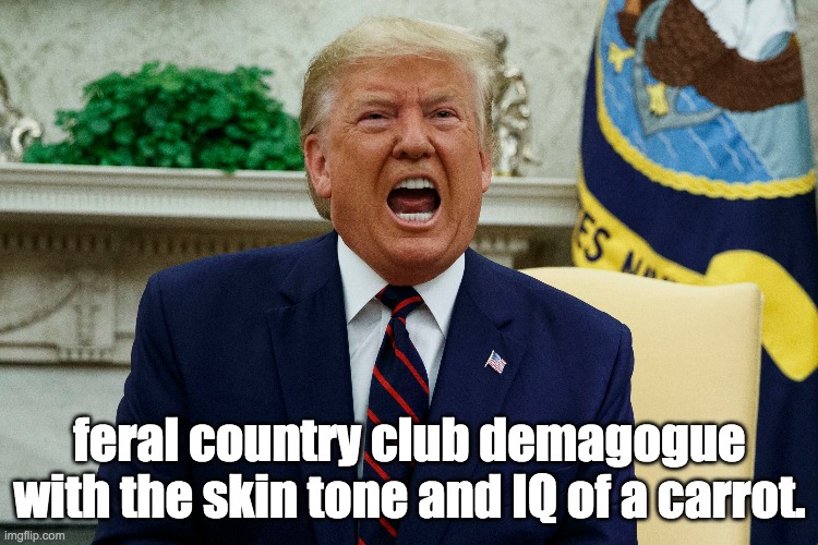Carrot | feral country club demagogue with the skin tone and IQ of a carrot. | image tagged in nevertrump | made w/ Imgflip meme maker