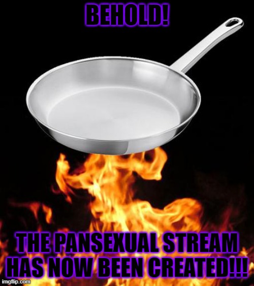 IT HAS BEGONE! | BEHOLD! THE PANSEXUAL STREAM HAS NOW BEEN CREATED!!! | image tagged in frying pan to fire | made w/ Imgflip meme maker