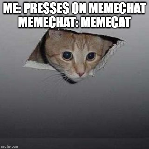 memecat | ME: PRESSES ON MEMECHAT
MEMECHAT: MEMECAT | image tagged in memes,ceiling cat | made w/ Imgflip meme maker