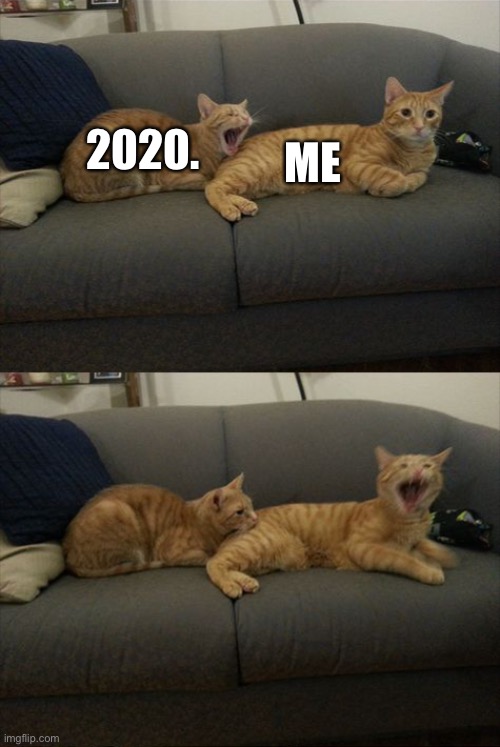 Aaaaaaaaaa | ME; 2020. | image tagged in cat bite cat in butt | made w/ Imgflip meme maker