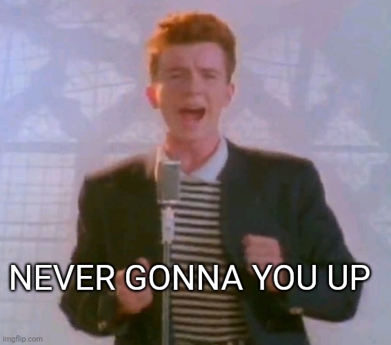 Never gonna give it up | NEVER GONNA YOU UP | image tagged in never gonna give it up | made w/ Imgflip meme maker