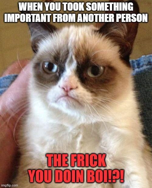 Grumpy Cat | WHEN YOU TOOK SOMETHING IMPORTANT FROM ANOTHER PERSON; THE FRICK YOU DOIN BOI!?! | image tagged in memes,grumpy cat | made w/ Imgflip meme maker