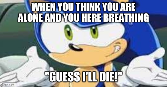 WHEN YOU THINK YOU ARE ALONE AND YOU HERE BREATHING; "GUESS I'LL DIE!" | image tagged in sonic,random | made w/ Imgflip meme maker