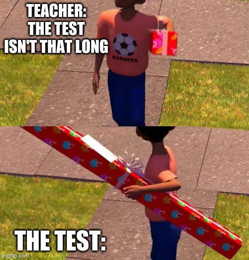mmmm | TEACHER: THE TEST ISN'T THAT LONG; THE TEST: | image tagged in toy story gift kid | made w/ Imgflip meme maker