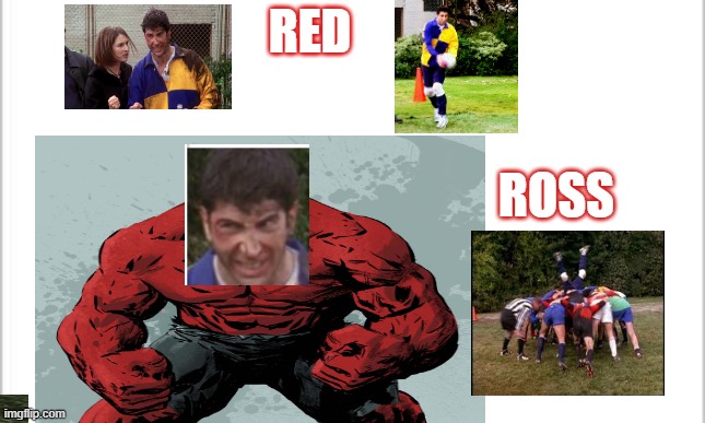 0.00001 percent of people will get this | RED; ROSS | image tagged in friends | made w/ Imgflip meme maker