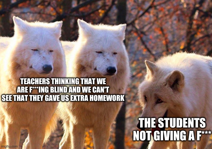 Grump Wolves | TEACHERS THINKING THAT WE ARE F***ING BLIND AND WE CAN'T SEE THAT THEY GAVE US EXTRA HOMEWORK; THE STUDENTS NOT GIVING A F*** | image tagged in grump wolves | made w/ Imgflip meme maker