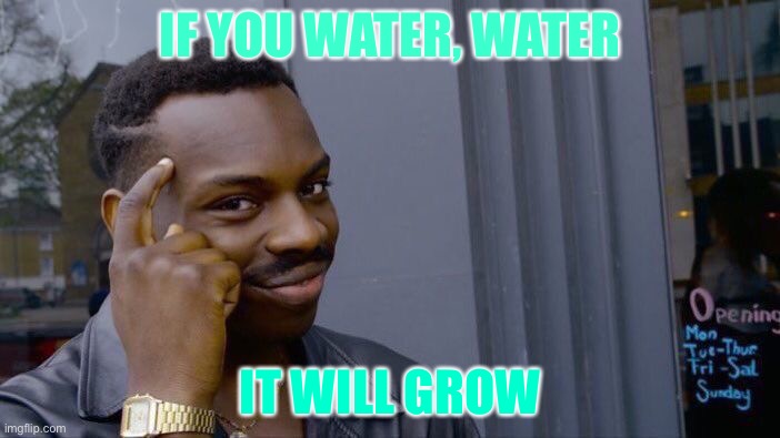 Roll Safe Think About It | IF YOU WATER, WATER; IT WILL GROW | image tagged in memes,roll safe think about it | made w/ Imgflip meme maker