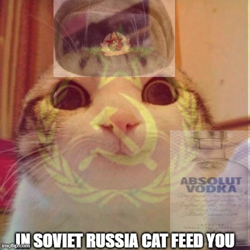 IN SOVIET RUSSIA CAT FEED YOU | image tagged in in soviet russia,cat | made w/ Imgflip meme maker