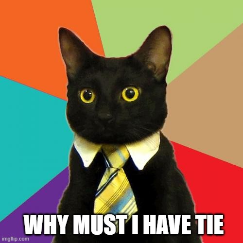 Business Cat | WHY MUST I HAVE TIE | image tagged in memes,business cat | made w/ Imgflip meme maker