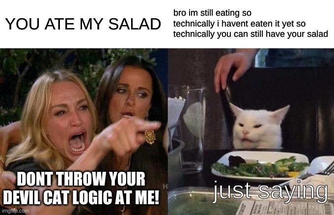 why am i like this? | YOU ATE MY SALAD; bro im still eating so technically i havent eaten it yet so technically you can still have your salad; DONT THROW YOUR DEVIL CAT LOGIC AT ME! just saying | image tagged in memes,woman yelling at cat | made w/ Imgflip meme maker