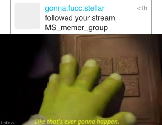 wtf is going on | image tagged in shrek,wtf,is,going,on | made w/ Imgflip meme maker