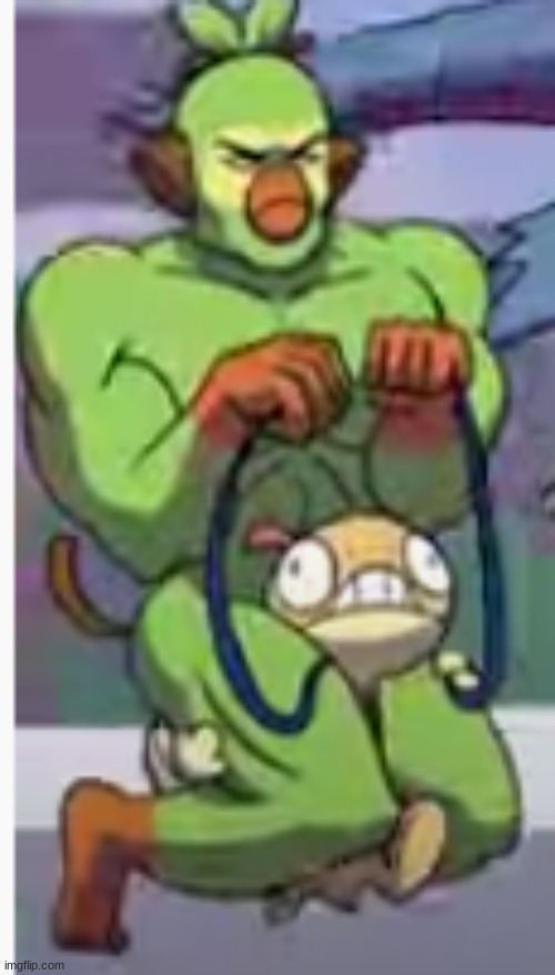 only Muscular Grookey riding scraggy | image tagged in pokemon,horses | made w/ Imgflip meme maker