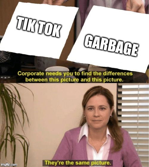 same | GARBAGE; TIK TOK | image tagged in they re the same thing | made w/ Imgflip meme maker