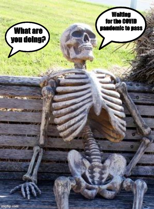 Waiting Skeleton | Waiting for the COVID pandemic to pass; What are you doing? | image tagged in memes,waiting skeleton | made w/ Imgflip meme maker