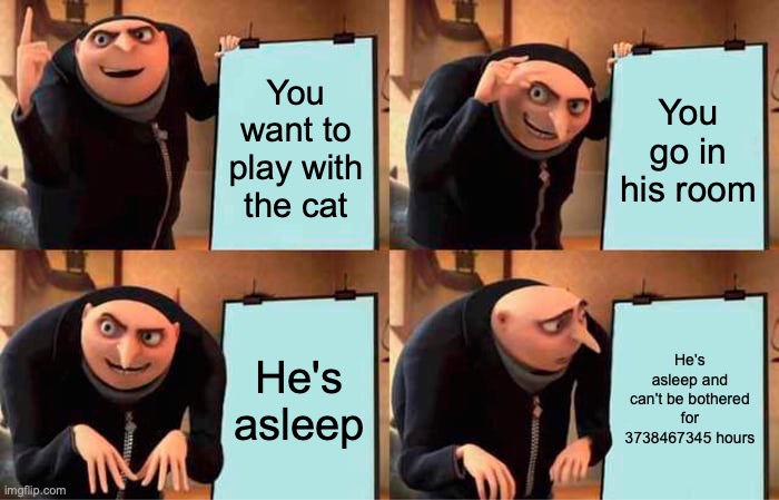 Gru's Plan | You want to play with the cat; You go in his room; He's asleep; He's asleep and can't be bothered for 3738467345 hours | image tagged in memes,gru's plan | made w/ Imgflip meme maker