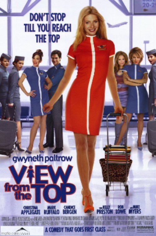 View From The Top | image tagged in view from the top,movies,gwyneth paltrow,mark ruffalo,christina applegate,mike myers | made w/ Imgflip meme maker