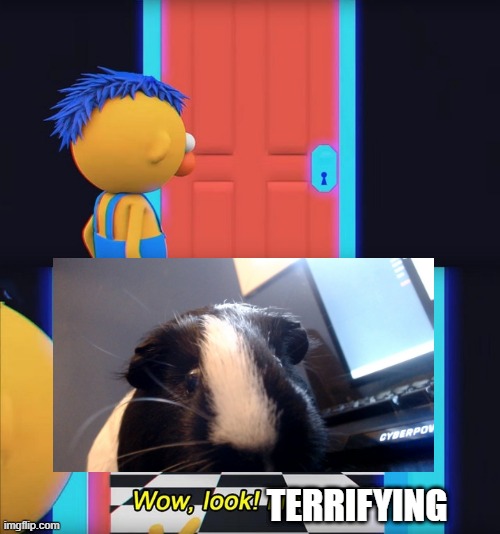 guinea pigs scare me. | TERRIFYING | image tagged in wow look nothing | made w/ Imgflip meme maker