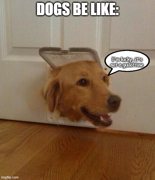 Dog door | DOGS BE LIKE:; I'm lucky, it's not a guilottine | image tagged in dog door,beheading | made w/ Imgflip meme maker