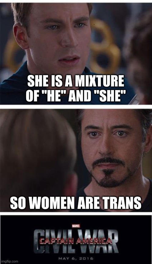 Marvel Civil War 1 | SHE IS A MIXTURE OF "HE" AND "SHE"; SO WOMEN ARE TRANS | image tagged in memes | made w/ Imgflip meme maker