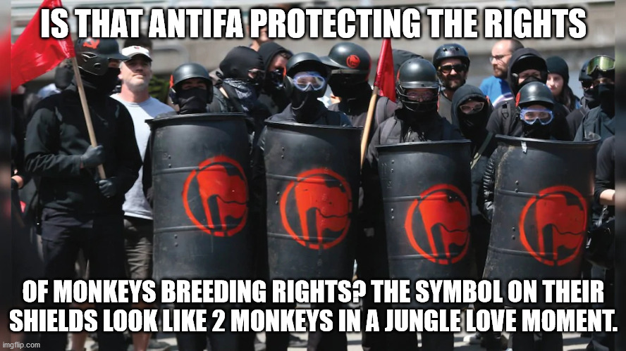 ANTIFA | IS THAT ANTIFA PROTECTING THE RIGHTS; OF MONKEYS BREEDING RIGHTS? THE SYMBOL ON THEIR SHIELDS LOOK LIKE 2 MONKEYS IN A JUNGLE LOVE MOMENT. | image tagged in antifa | made w/ Imgflip meme maker