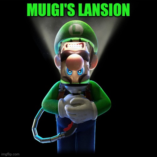 The long awaited sequel to Muper Sario... | MUIGI'S LANSION | image tagged in luigi | made w/ Imgflip meme maker