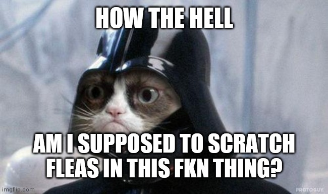 Grumpy Cat Star Wars Meme | HOW THE HELL; AM I SUPPOSED TO SCRATCH FLEAS IN THIS FKN THING? | image tagged in memes,grumpy cat star wars,grumpy cat | made w/ Imgflip meme maker