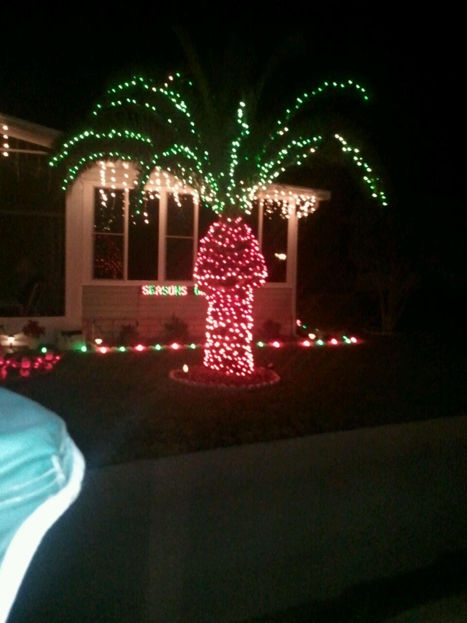 Palm tree Sexmas Blank Meme Template