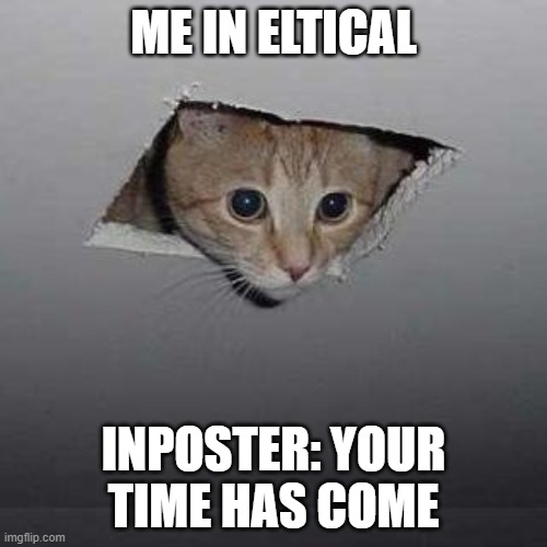 Ceiling Cat | ME IN ELTICAL; INPOSTER: YOUR TIME HAS COME | image tagged in memes,ceiling cat | made w/ Imgflip meme maker