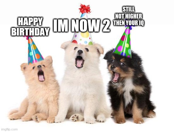 happy birthday puppies | STILL NOT HIGHER THEN YOUR IQ; IM NOW 2; HAPPY BIRTHDAY | image tagged in happy birthday puppies | made w/ Imgflip meme maker