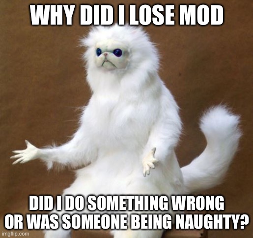Lol I’m curious... | WHY DID I LOSE MOD; DID I DO SOMETHING WRONG
OR WAS SOMEONE BEING NAUGHTY? | image tagged in what the heck cat,memes,what happened,mods,imgflip | made w/ Imgflip meme maker
