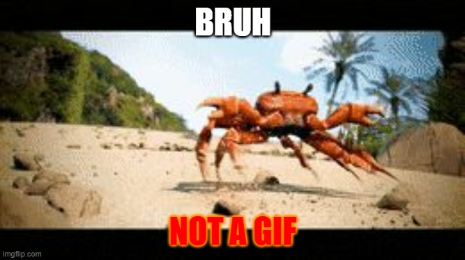 Crab rave gif | BRUH; NOT A GIF | image tagged in crab rave gif | made w/ Imgflip meme maker