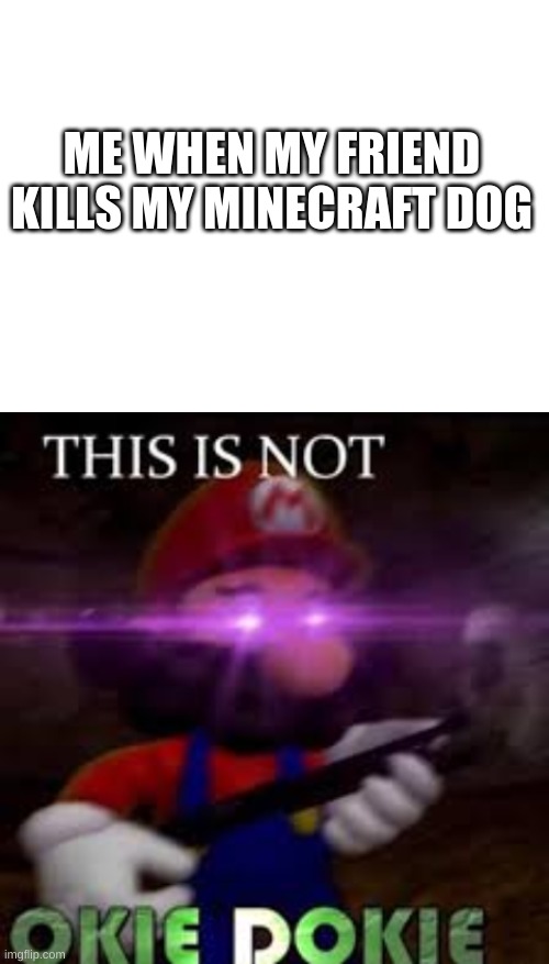 ME WHEN MY FRIEND KILLS MY MINECRAFT DOG | image tagged in blank white template,this is not okie dokie | made w/ Imgflip meme maker