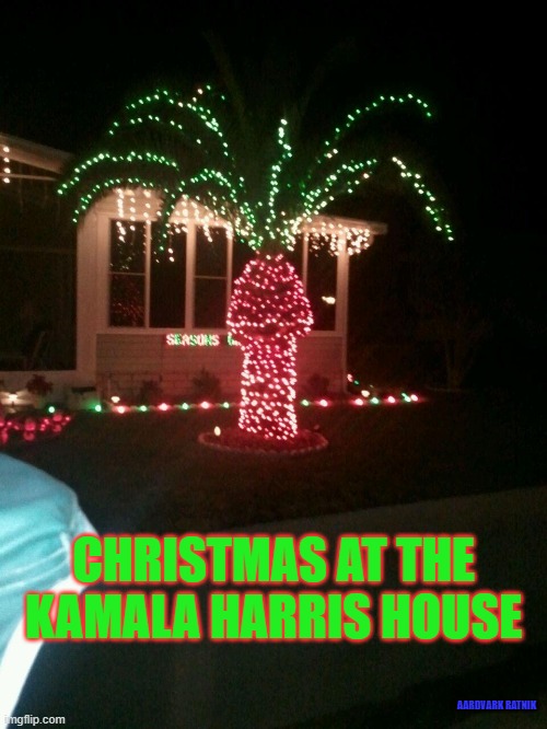 Christmas at Kamala's | CHRISTMAS AT THE KAMALA HARRIS HOUSE; AARDVARK RATNIK | image tagged in palm tree sexmas,merry christmas,kamala harris,joe biden,politics | made w/ Imgflip meme maker