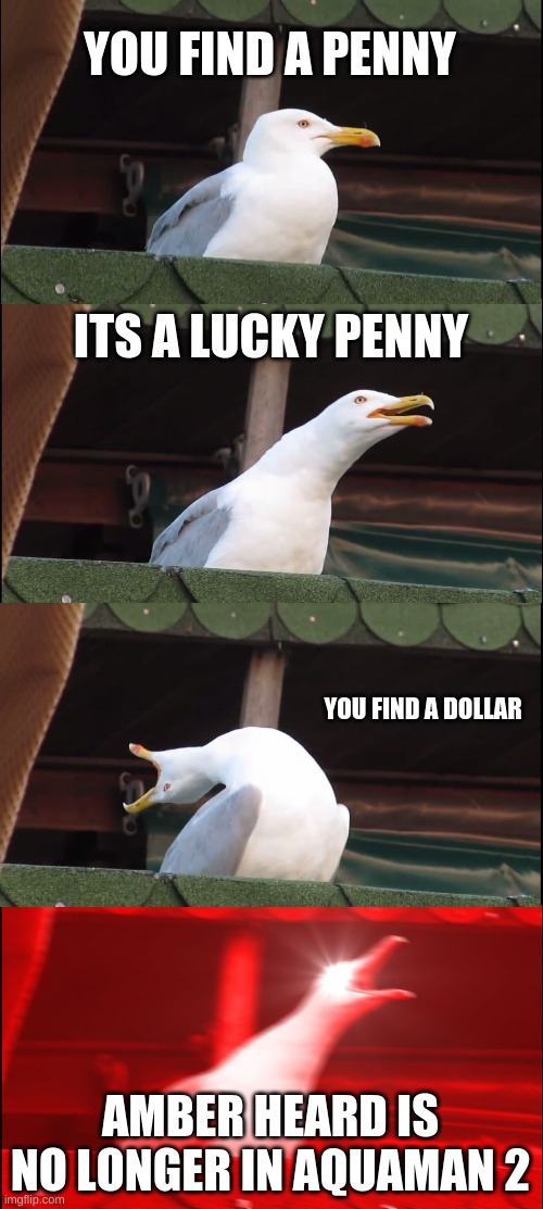 YES | YOU FIND A PENNY; ITS A LUCKY PENNY; YOU FIND A DOLLAR; AMBER HEARD IS NO LONGER IN AQUAMAN 2 | image tagged in memes,inhaling seagull | made w/ Imgflip meme maker