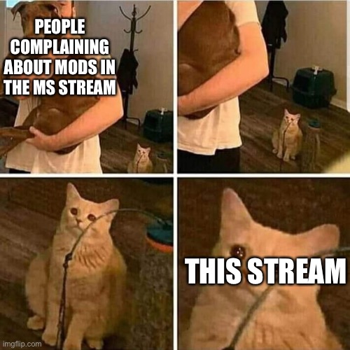 Why are you all forgetting that we have this stream? | PEOPLE COMPLAINING ABOUT MODS IN THE MS STREAM; THIS STREAM | image tagged in sad cat holding dog | made w/ Imgflip meme maker
