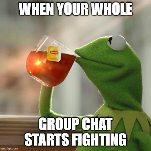 But That's None Of My Business Meme | WHEN YOUR WHOLE; GROUP CHAT STARTS FIGHTING | image tagged in memes,but that's none of my business,kermit the frog | made w/ Imgflip meme maker