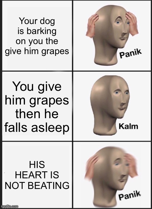Dead | Your dog is barking on you the give him grapes; You give him grapes then he falls asleep; HIS HEART IS NOT BEATING | image tagged in memes,panik kalm panik | made w/ Imgflip meme maker