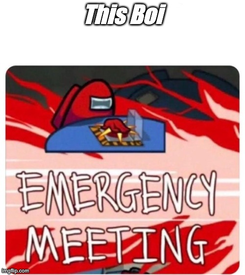Emergency Meeting Among Us | This Boi | image tagged in emergency meeting among us | made w/ Imgflip meme maker