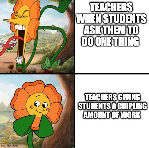 well hek | TEACHERS WHEN STUDENTS ASK THEM TO DO ONE THING; TEACHERS GIVING STUDENTS A CRIPLING AMOUNT OF WORK | image tagged in angry flower | made w/ Imgflip meme maker