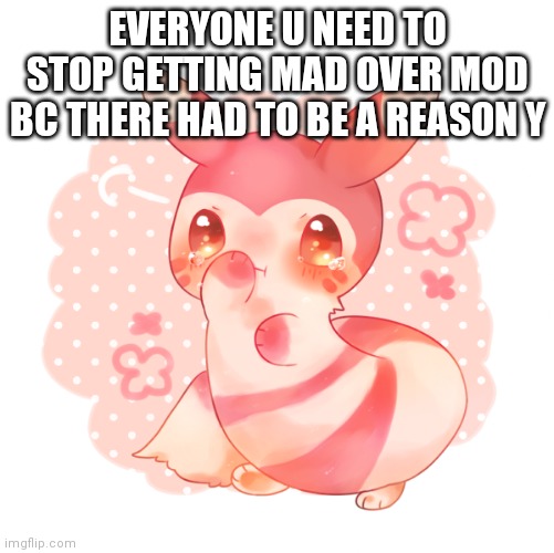 Ferret pokemon | EVERYONE U NEED TO STOP GETTING MAD OVER MOD BC THERE HAD TO BE A REASON Y | image tagged in ferret pokemon | made w/ Imgflip meme maker