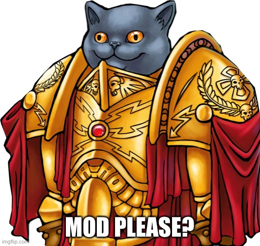 Kitten the Captain General | MOD PLEASE? | image tagged in kitten the captain general | made w/ Imgflip meme maker