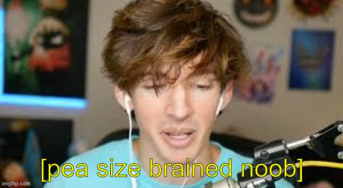 new template | image tagged in alber pea size brained noobe | made w/ Imgflip meme maker