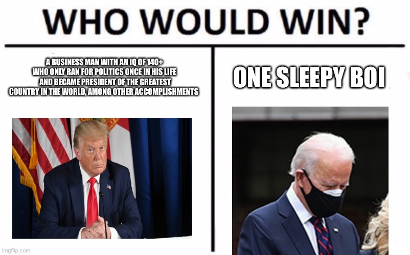Trump vs sleepy boi | A BUSINESS MAN WITH AN IQ OF 140+ WHO ONLY RAN FOR POLITICS ONCE IN HIS LIFE  AND BECAME PRESIDENT OF THE GREATEST COUNTRY IN THE WORLD, AMONG OTHER ACCOMPLISHMENTS; ONE SLEEPY BOI | image tagged in memes,who would win | made w/ Imgflip meme maker