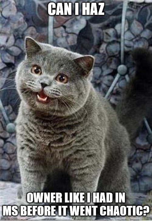 I can has cheezburger cat | CAN I HAZ; OWNER LIKE I HAD IN MS BEFORE IT WENT CHAOTIC? | image tagged in i can has cheezburger cat | made w/ Imgflip meme maker