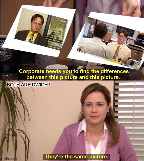 They're The Same Picture Meme | BOTH ARE DWIGHT | image tagged in memes,they're the same picture | made w/ Imgflip meme maker