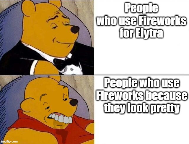 Erk Winnie The Pooh | People who use Fireworks for Elytra; People who use Fireworks because they look pretty | image tagged in winnie the pooh,minecraft,memes,fireworks | made w/ Imgflip meme maker