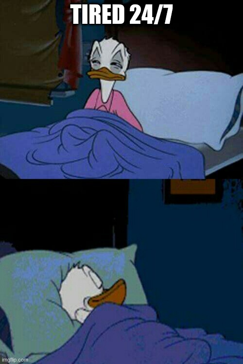 sleepy donald duck in bed | TIRED 24/7 | image tagged in sleepy donald duck in bed | made w/ Imgflip meme maker
