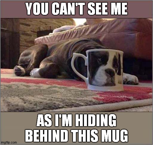 You Ain't Seen Me, Right. | YOU CAN'T SEE ME; AS I'M HIDING BEHIND THIS MUG | image tagged in dogs,hiding,frontpage | made w/ Imgflip meme maker